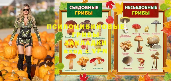 стафф Абдулино