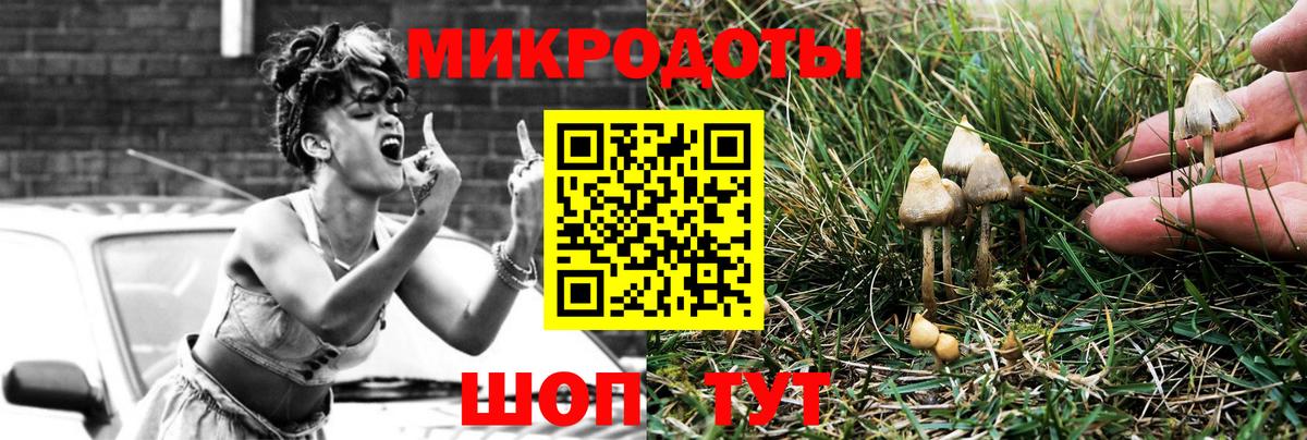 Псилоцибиновые грибы ЛСД  как найти   Заволжье  Псилоцибиновые грибы Cubensis  Вход с VPN 